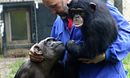 Monkey Life