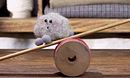 Seesaw
