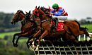 Galway Races