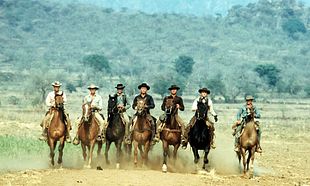 The Magnificent Seven