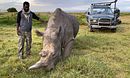 Expedition Rhino: The Search for the Last Northern White