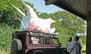 Devon - Emergency Surgery for Daisy the Cow