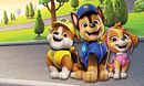 Pups Save a Rubbish-Dinger