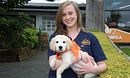 The Shelter: Animal SOS
