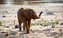 The Power of Play