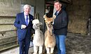 K2 Alpacas