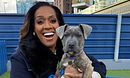 For the Love of Dogs with Alison Hammond