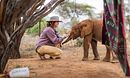 Becoming Elephant: The Orphans of Reteti