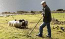 Feirmeoirí