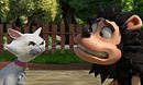 Cat v Dog