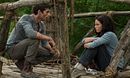The Maze Runner