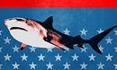Tiger Shark King