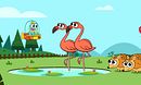 The Zoo