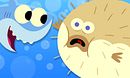 Baby Shark