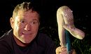 Dragons and Death Adders