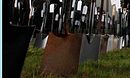 Motorcycle Jackets/Shovels and Spades/Farmed Caviar