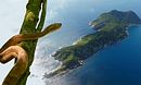 Snake Island