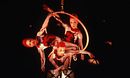 Cirque du Soleil: Quidam