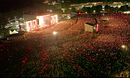 Liam Gallagher: Knebworth 22