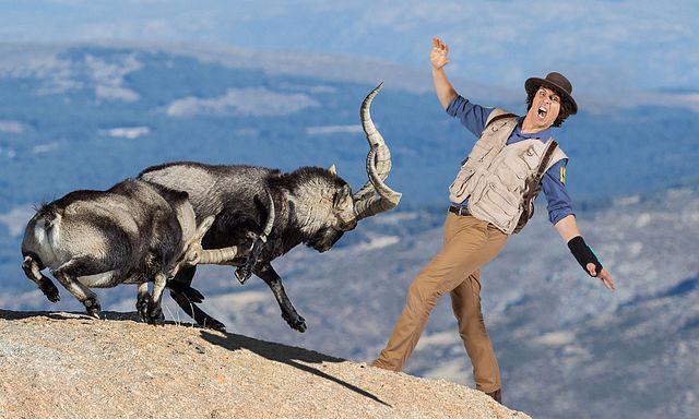 RTÉ Jr TV Channel Listings - Entertainment.ie