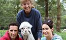 Glenshiel Alpaca Stud