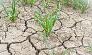 The Great British Drought
