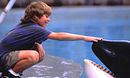 Free Willy