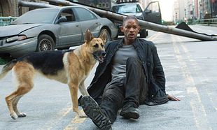 I Am Legend
