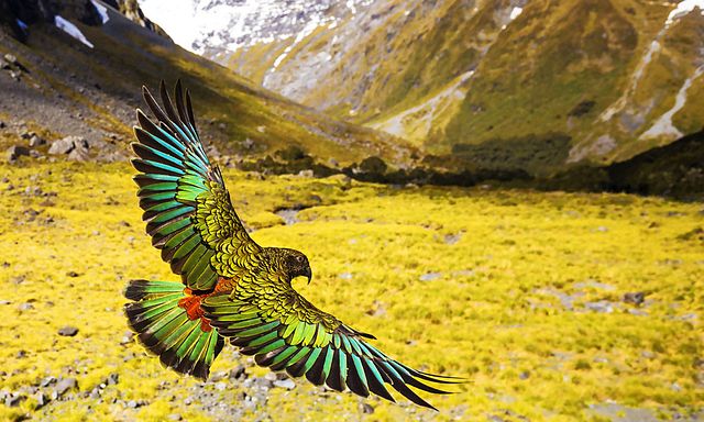 New Zealand: Earth's Mythical Islands