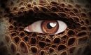 The Reptilian Agenda