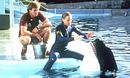 Jaws 3