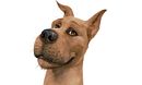 Scooby-Doo