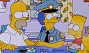 The Springfield Connection