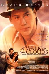 A Walk in the Clouds