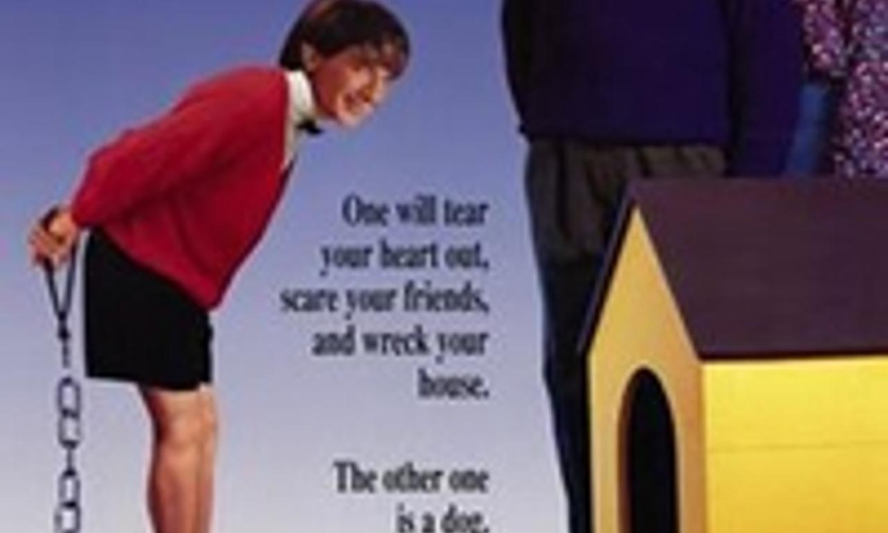 header image for Clifford