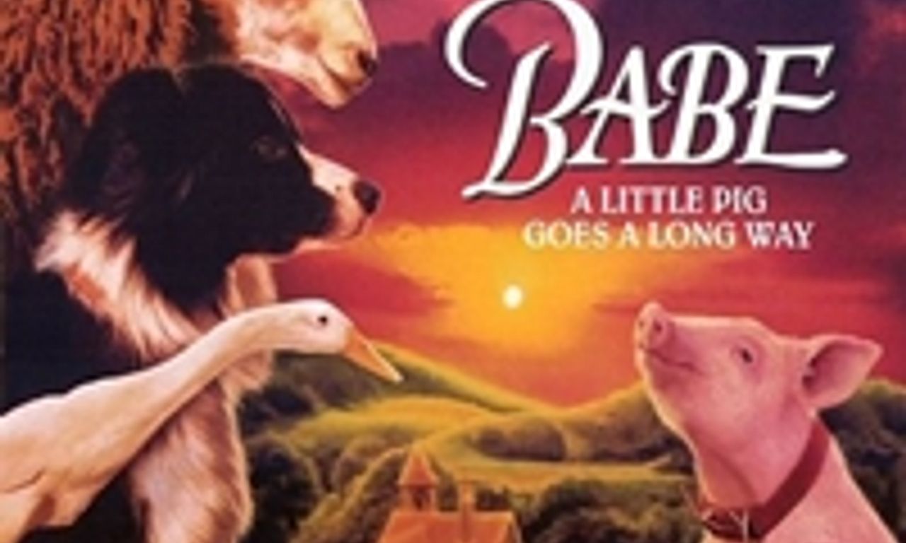 header image for Babe