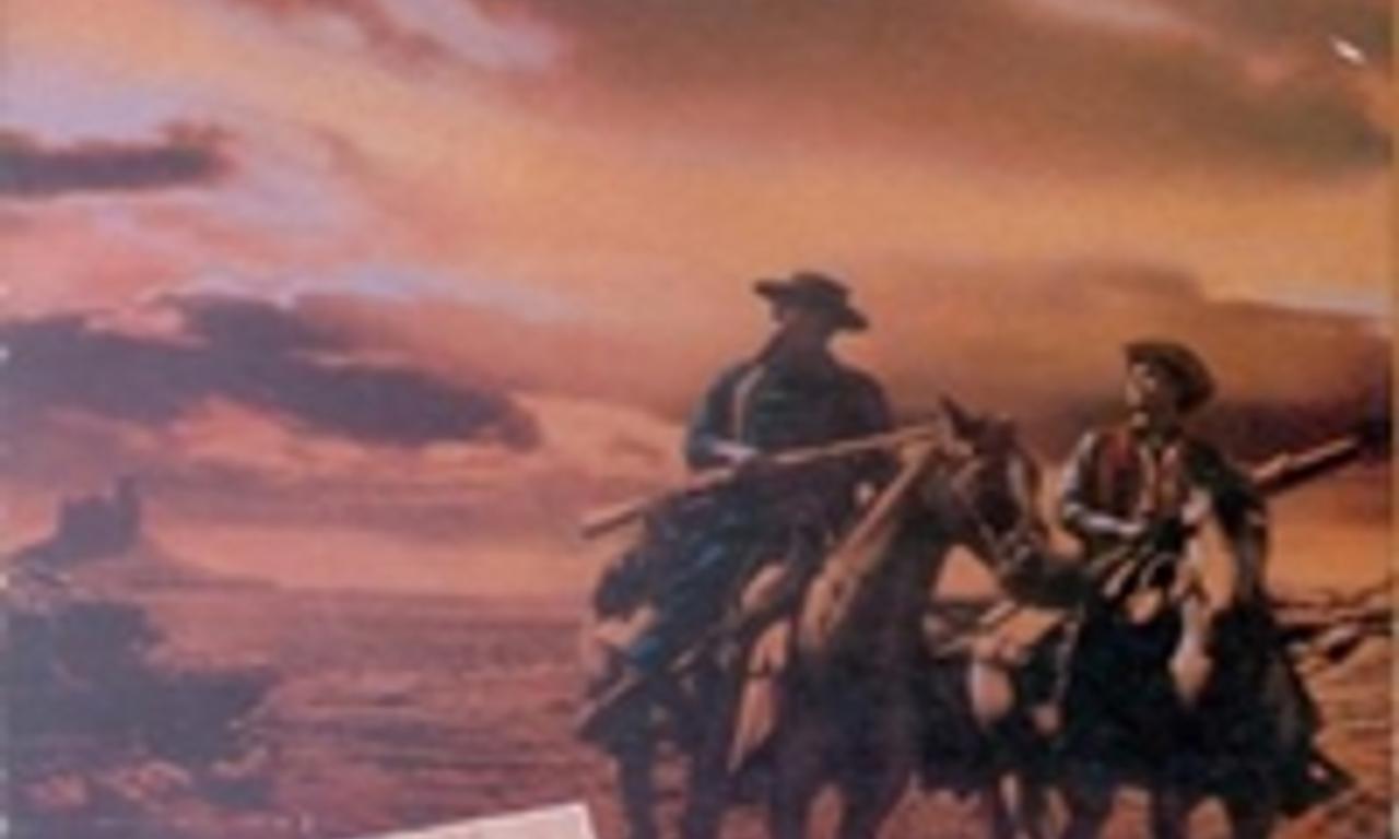 header image for The Searchers