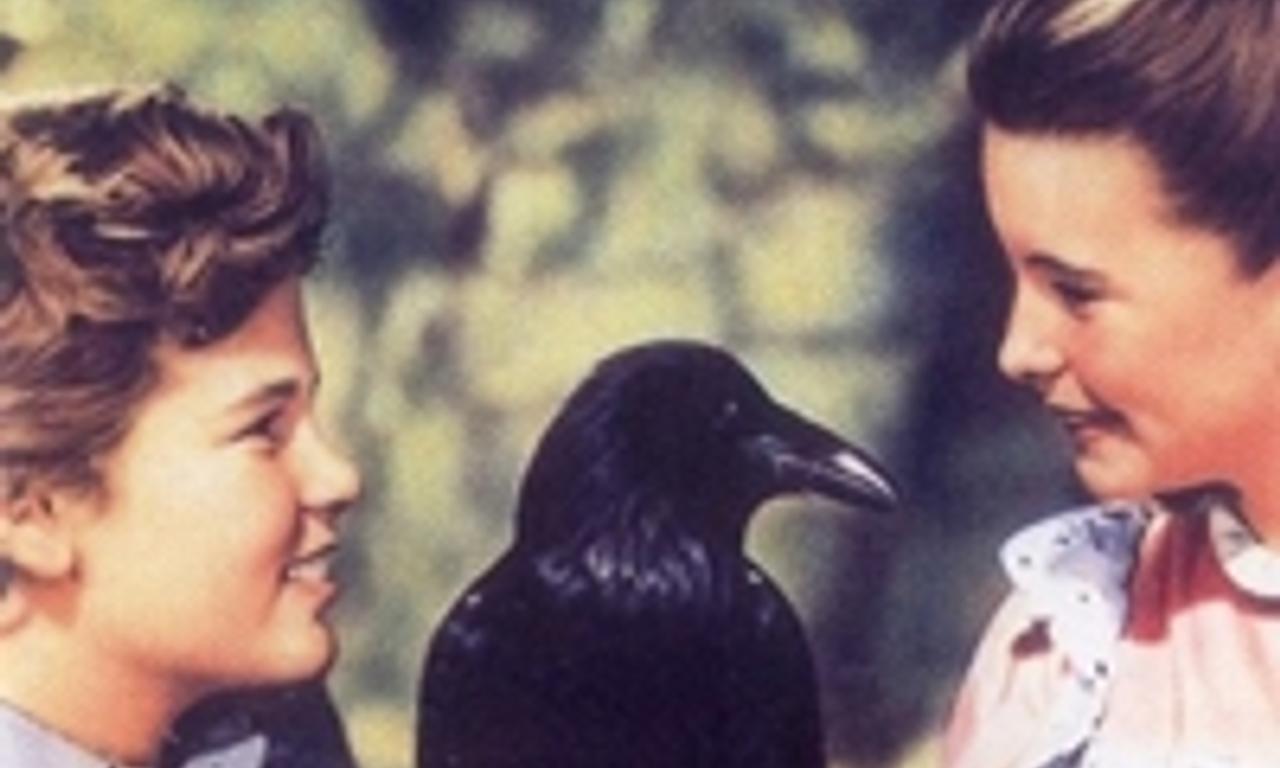 header image for The Secret Garden