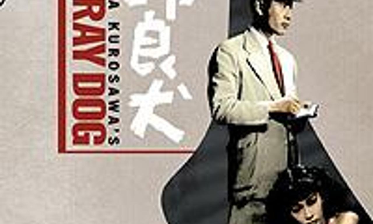 header image for Stray Dog