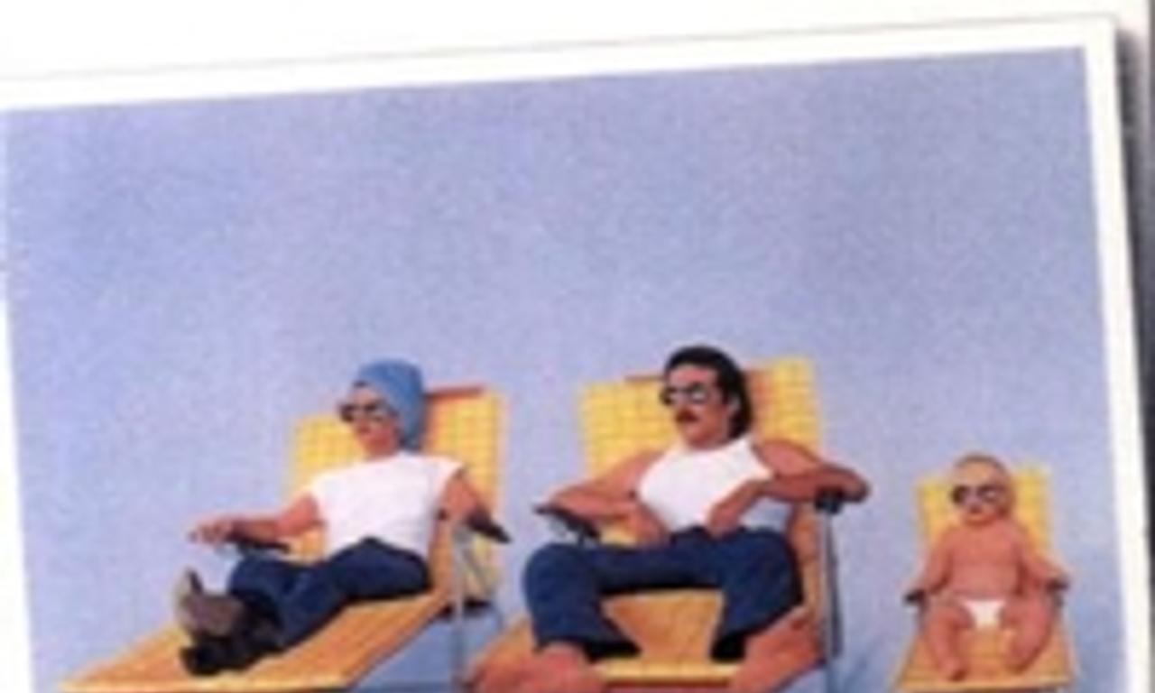 header image for Raising Arizona