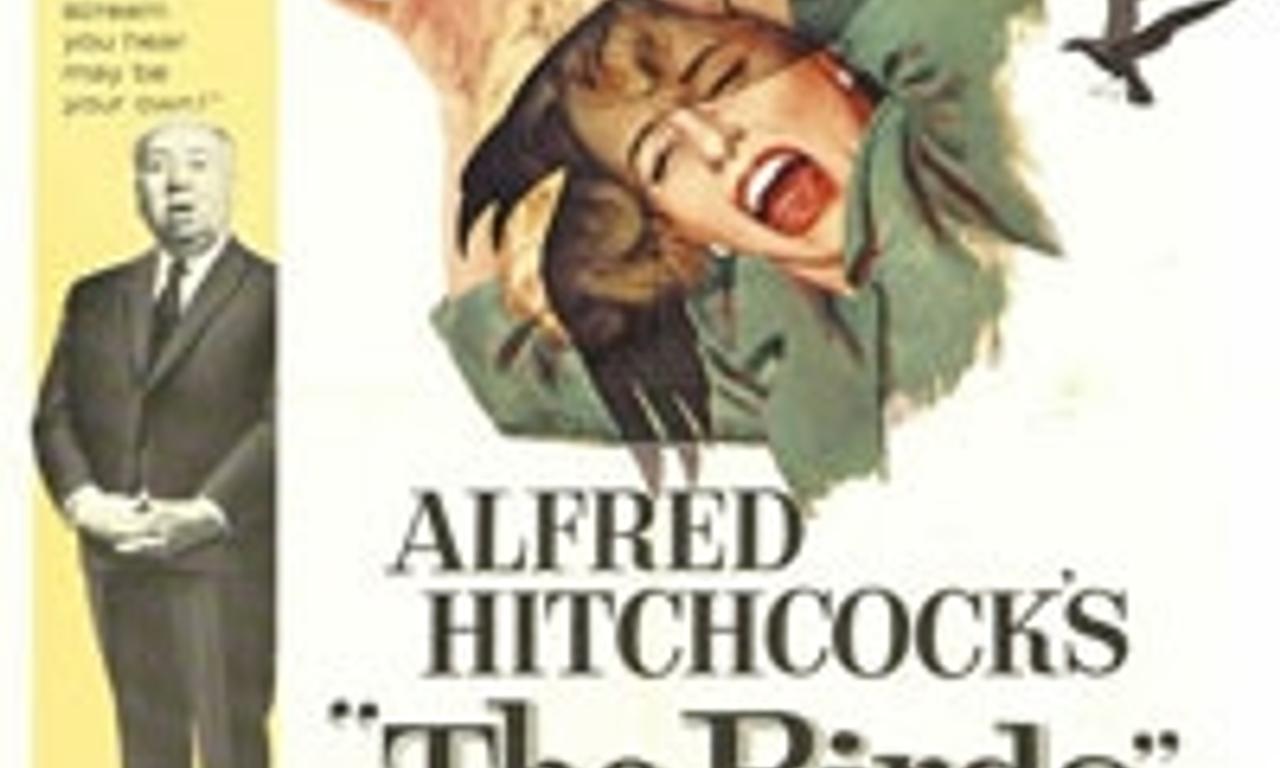 header image for The Birds