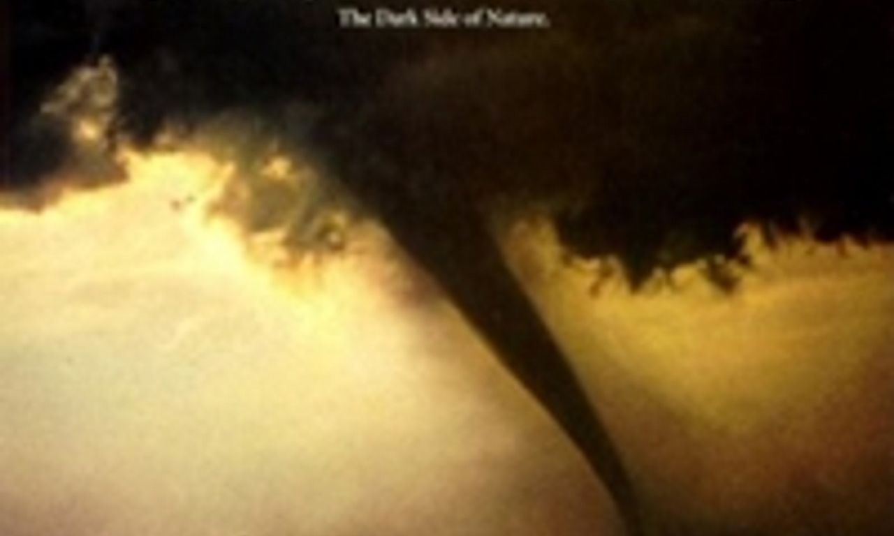 header image for Twister