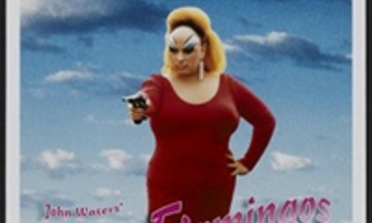 header image for Pink Flamingos