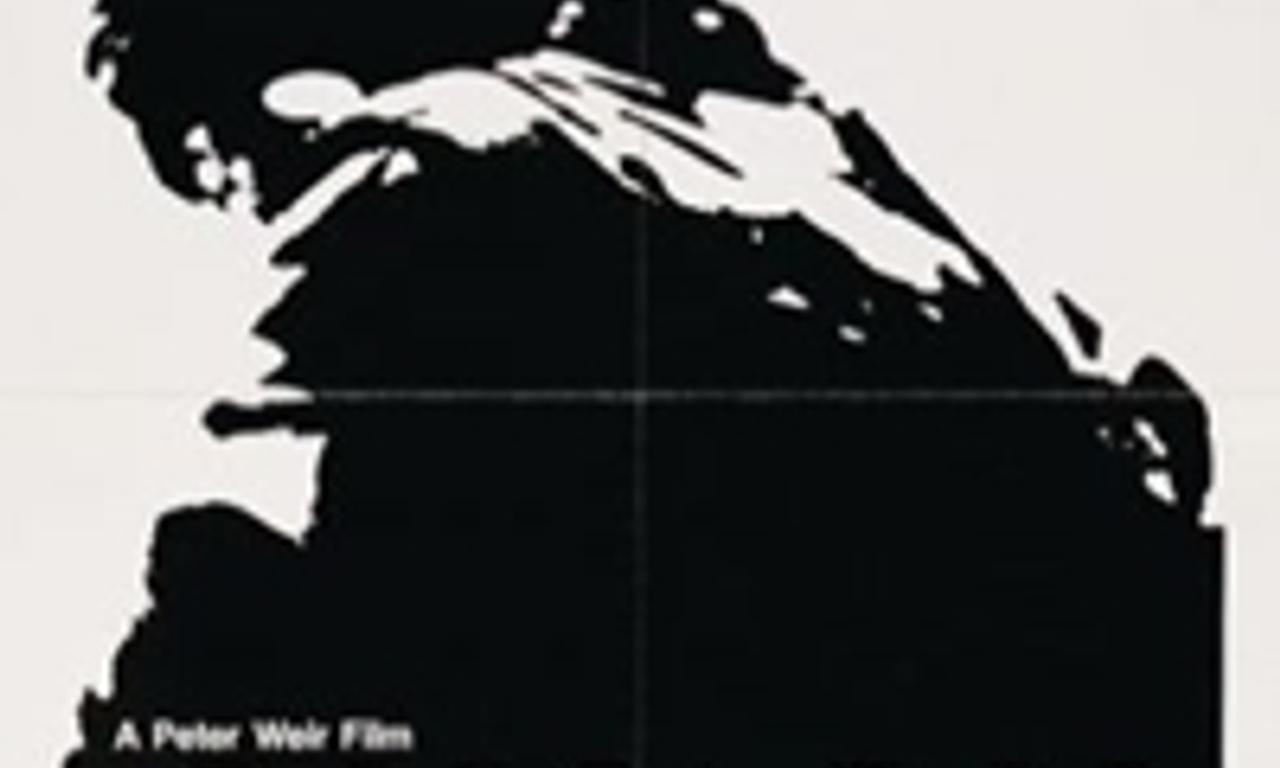 header image for Gallipoli