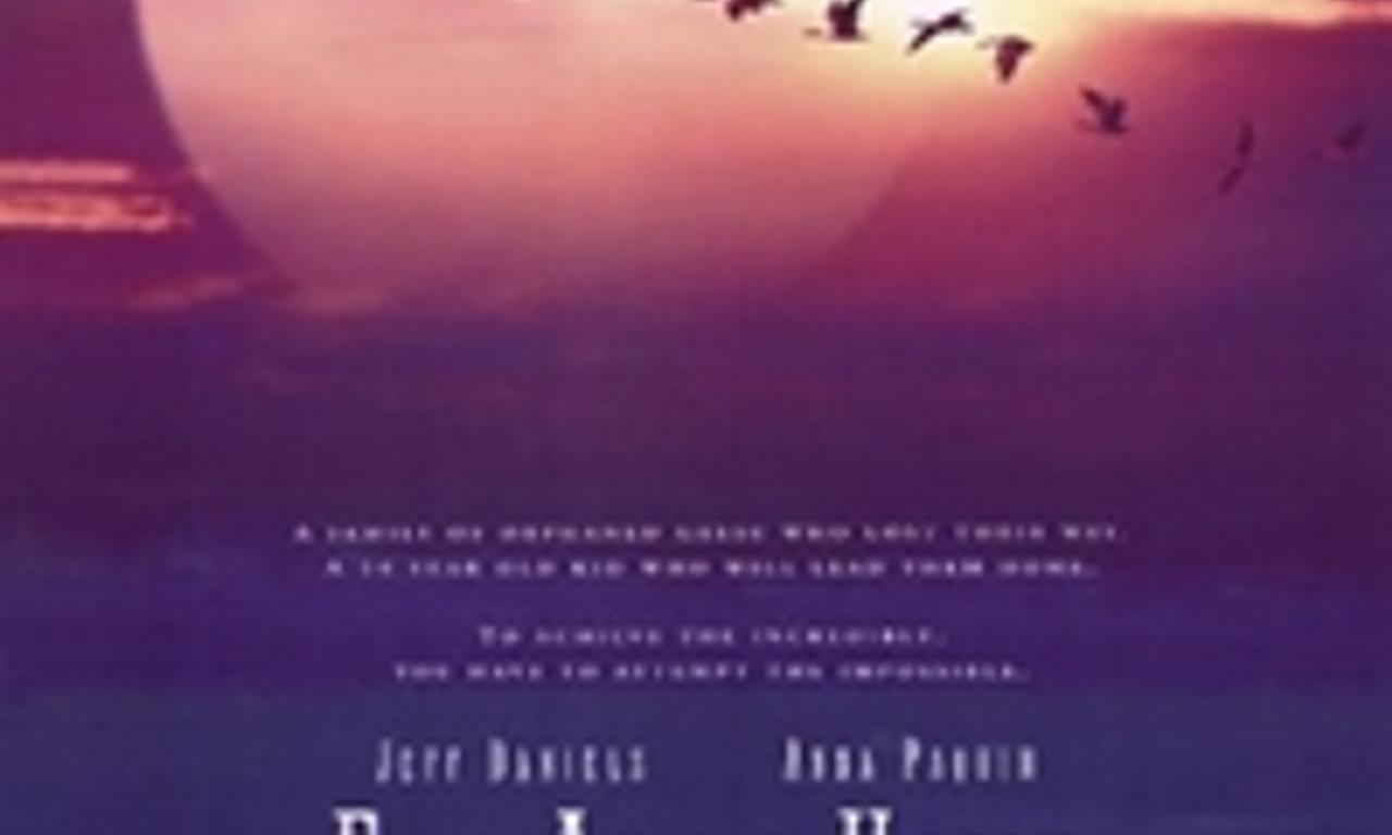 header image for Fly Away Home