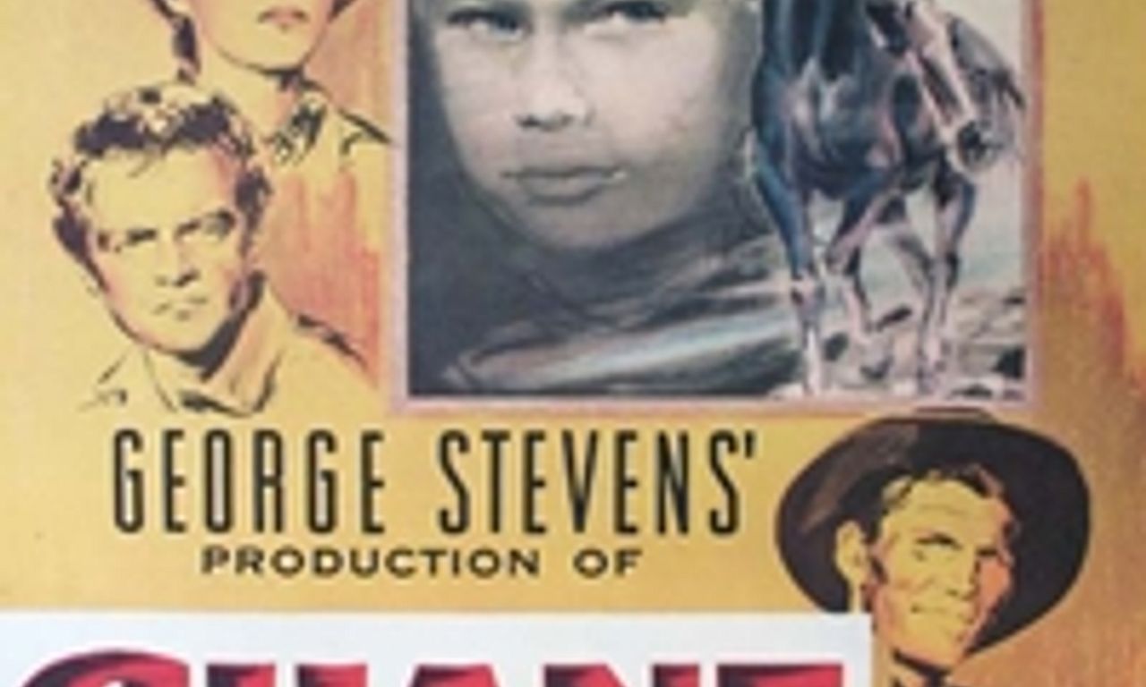 header image for Shane