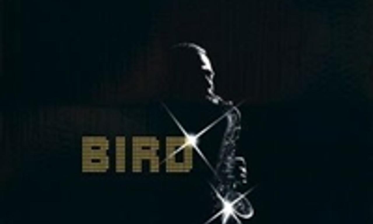 header image for Bird