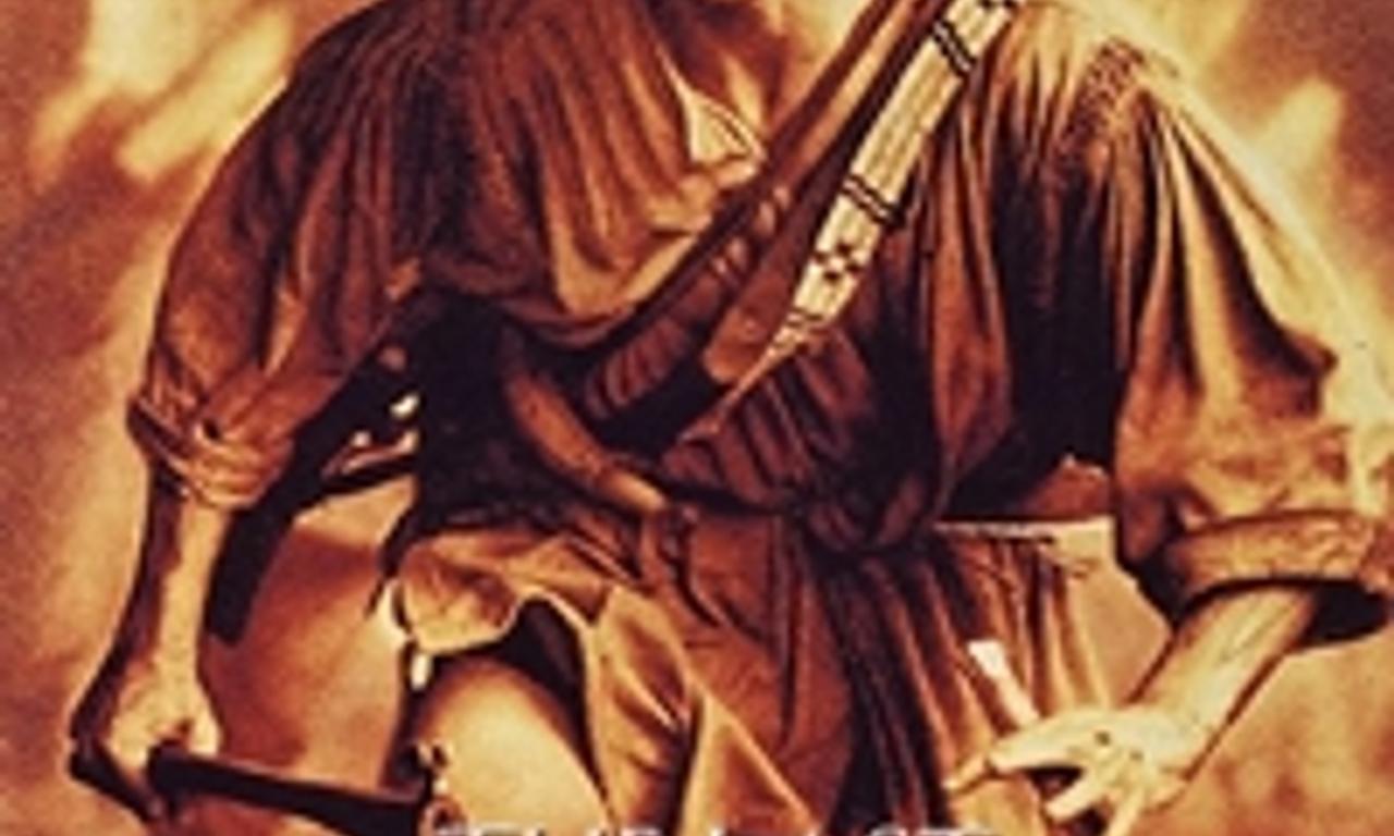 header image for The Last of the Mohicans