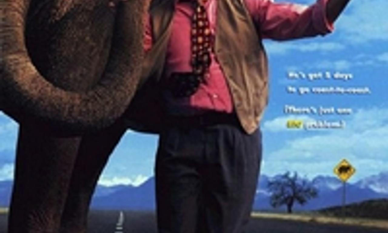 header image for Larger Than Life