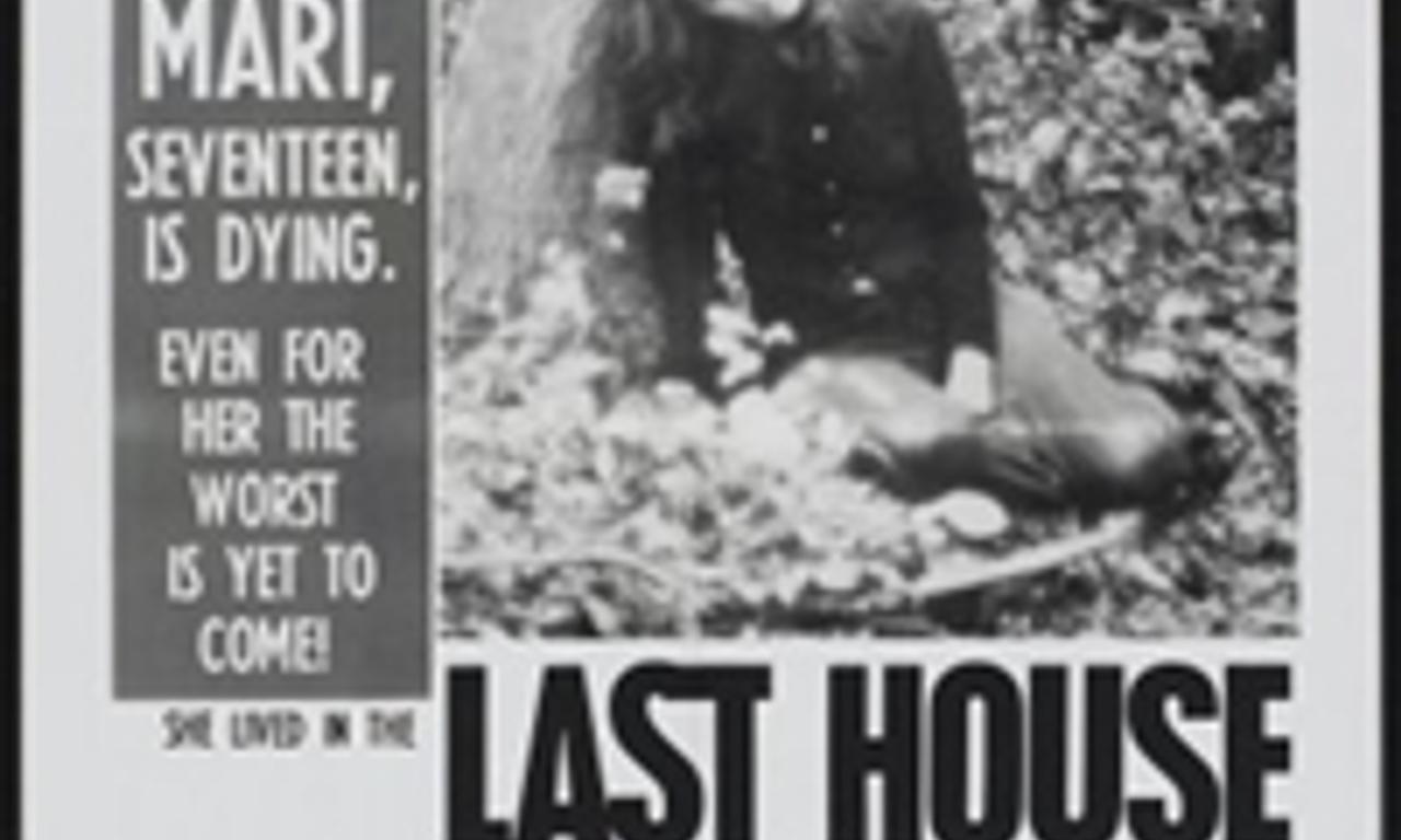 header image for The Last House on the Left